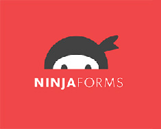 Ninja-Forms-Contact-Form